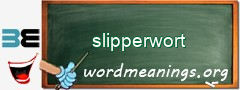 WordMeaning blackboard for slipperwort